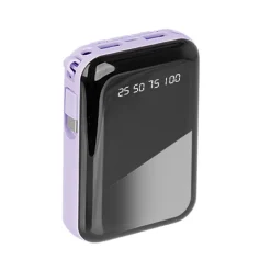 10000mAh Powerbank