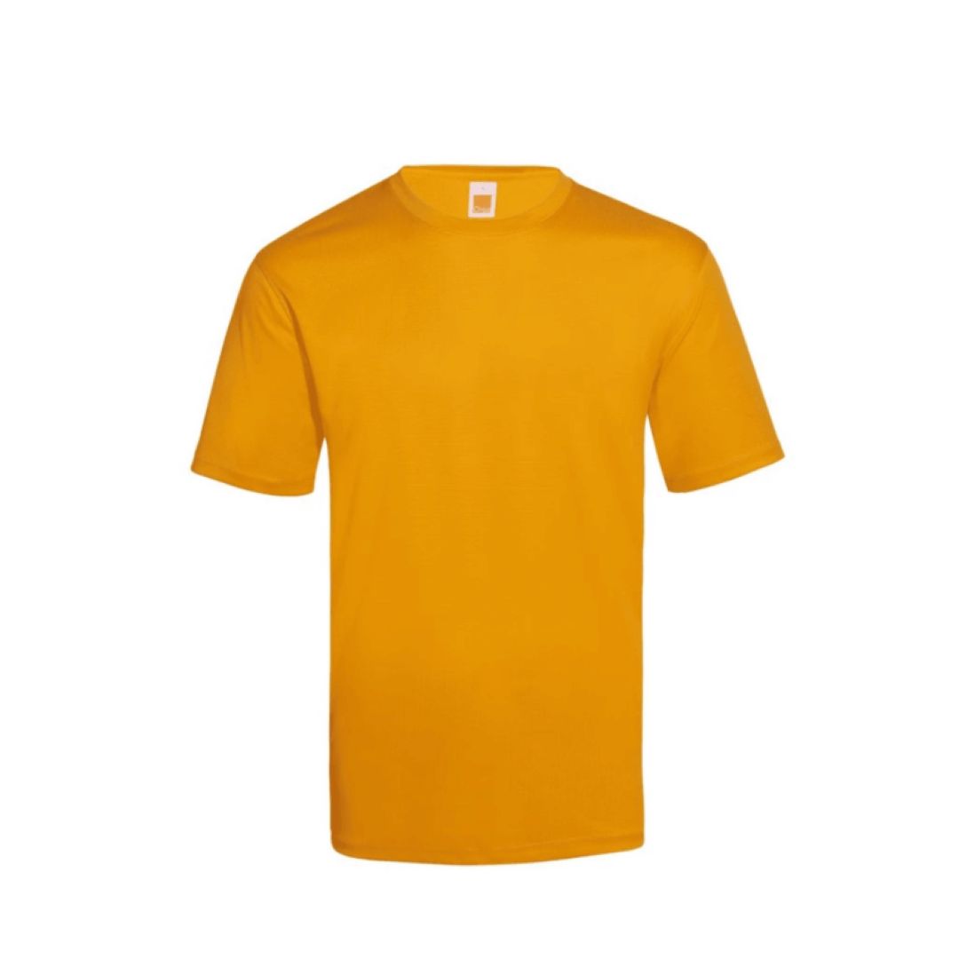 Dri-Fit Polyester Anti-Microbial Round Neck T-Shirt QD66